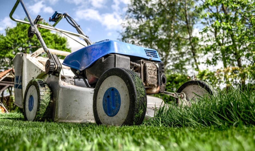 Jardinage pour Débutants: 10 Erreurs à Éviter pour un Jardin Florissant!