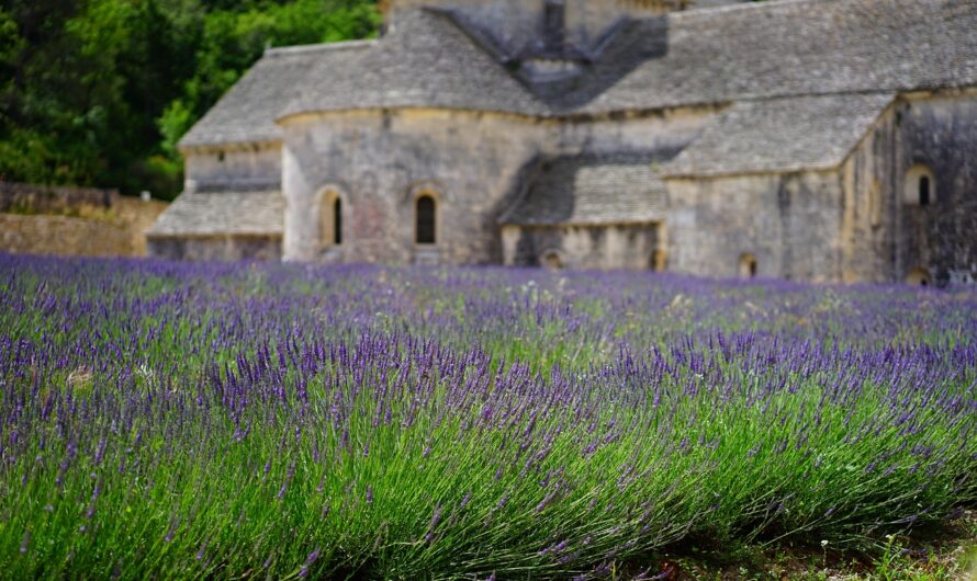 Renaud : sa maison dans le Vaucluse