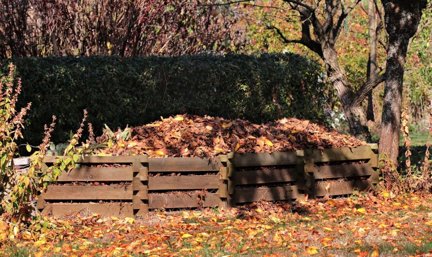 Réussir Son Compost: Pour un Jardin Fertile et Écologique!