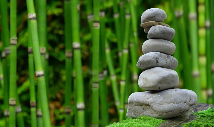 Comment Intégrer des Éléments Naturels pour une Maison Zen!