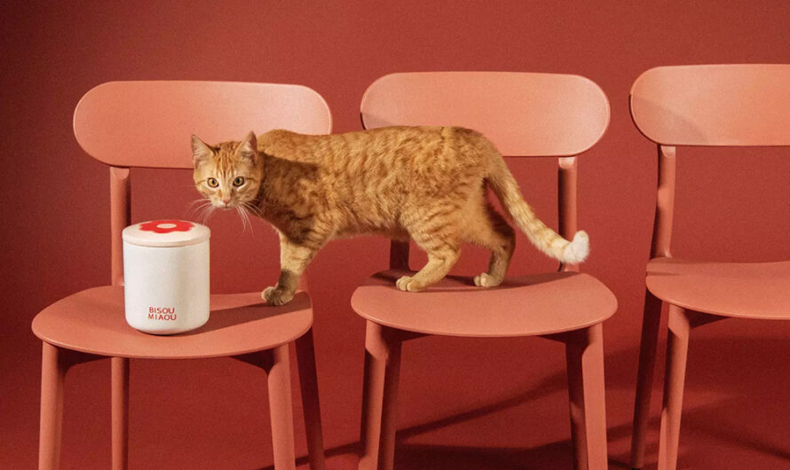 Cette enseigne de déco adorée lance une collection exclusive pour vos animaux de compagnie