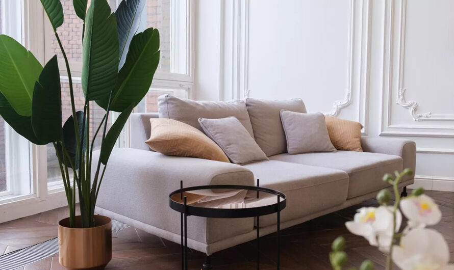 Ce que 9 clients IKEA sur 10 ignorent les prive d’un nouveau canapé gratuit