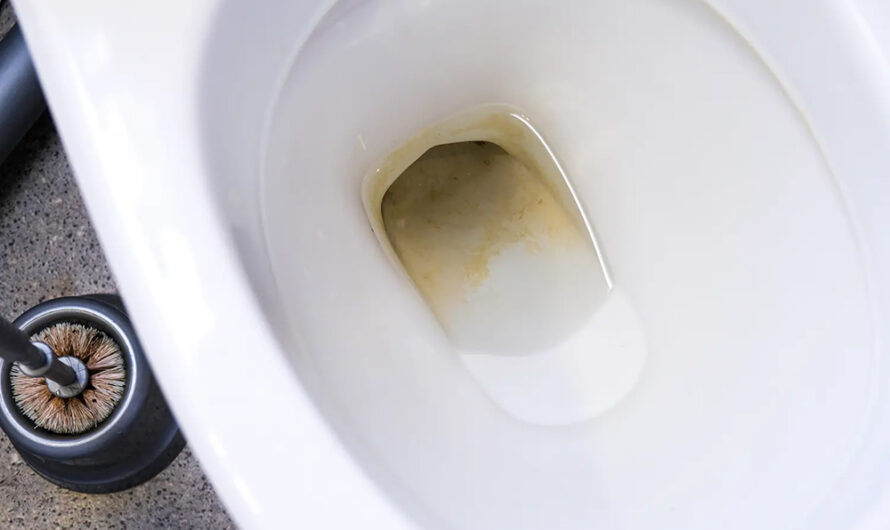 Fini le tartre au fond des toilettes : un expert du ménage livre sa solution imparable