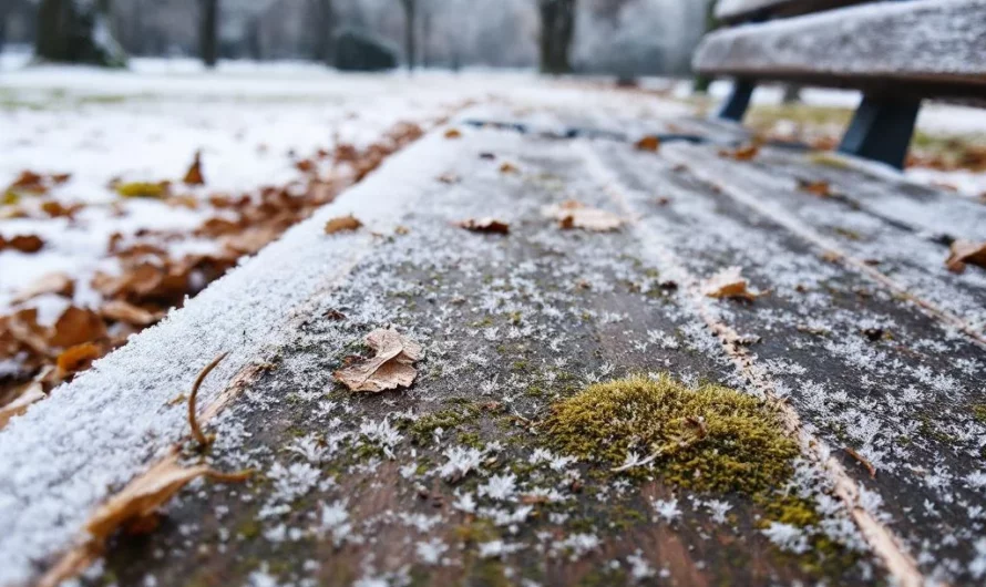 Découvrez L&rsquo;endroit dans votre maison ou les microbes sont les plus nombreux