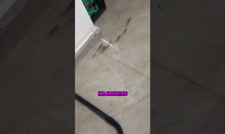 ELLE SE RÉVEILLE… SA MAISON EST UNE PISCINE 😱🏠💦