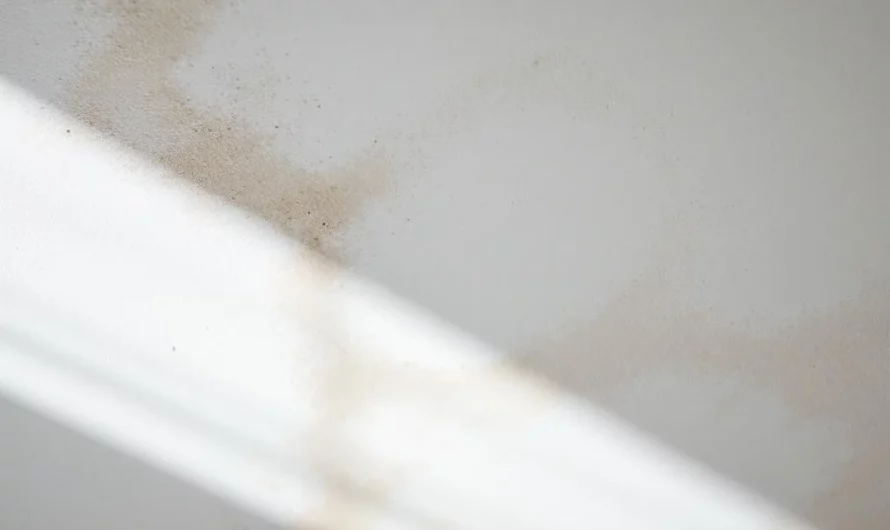 Nettoyage facile murs et plafonds : la méthode infaillible des pros