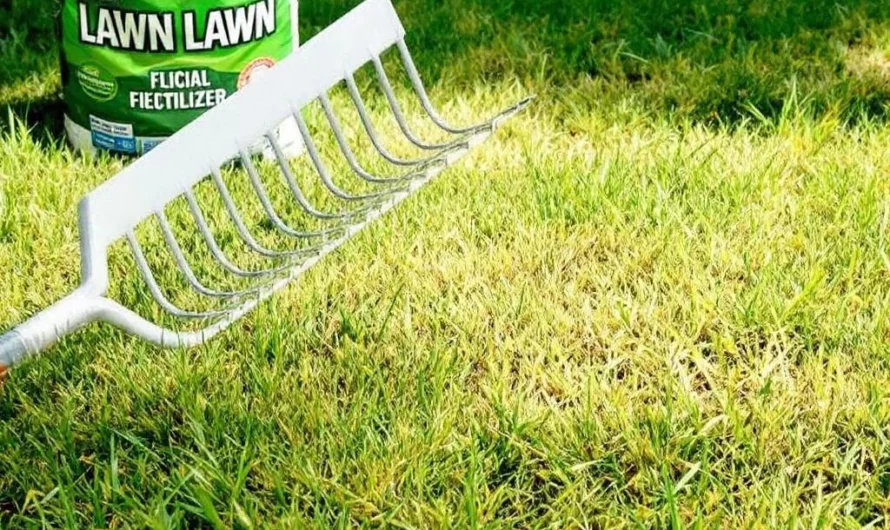 Pourquoi votre pelouse jaunit après l&rsquo;hiver et comment la sauver