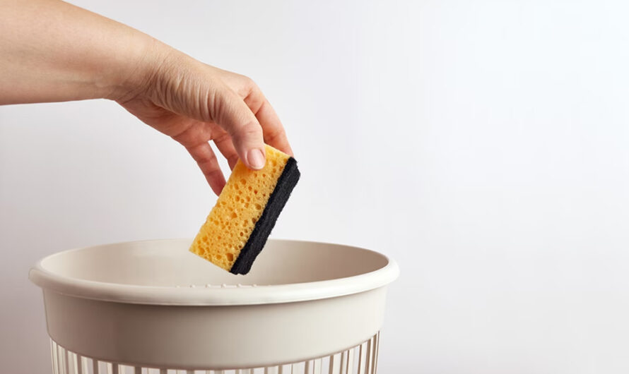 Voici quand jeter votre éponge… avant qu’elle ne devienne dangereuse