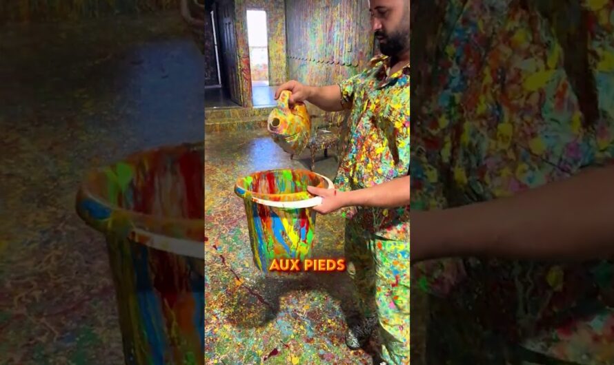 [Vidéo] CE GARS PEINT SA MAISON EN ENTIER ! 😱🎨